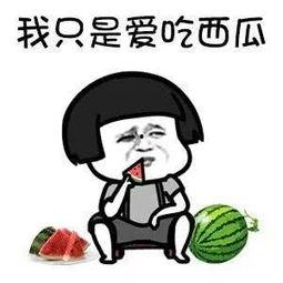 娱乐吃瓜酱意味着什么,网络热词背后的文化现象与心理解读  第2张